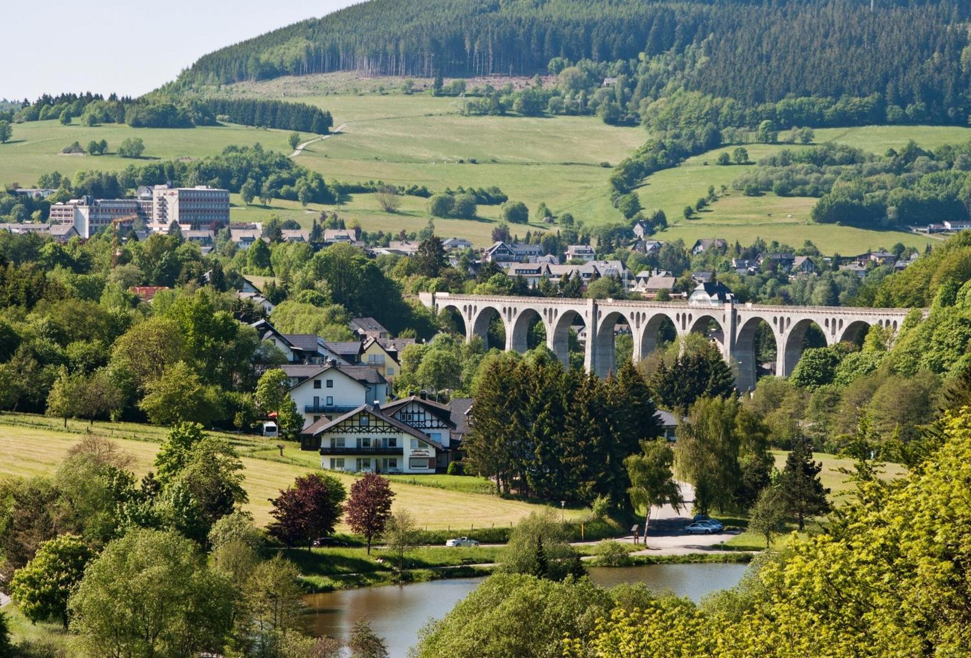 Die Hammerhuette Виллинген Экстерьер фото
